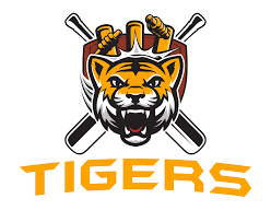 Woodly Tigers Youth Cricket Academy