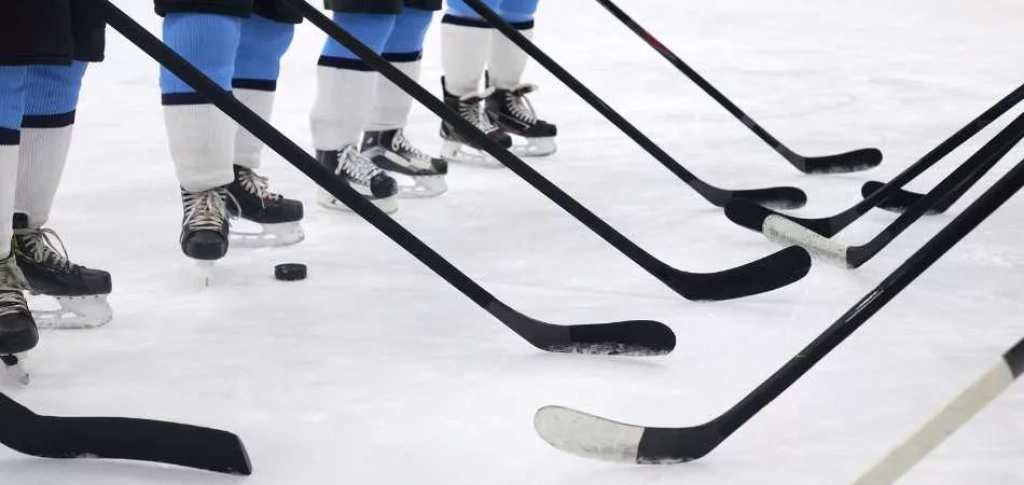 Hockey players lined up with sticks.