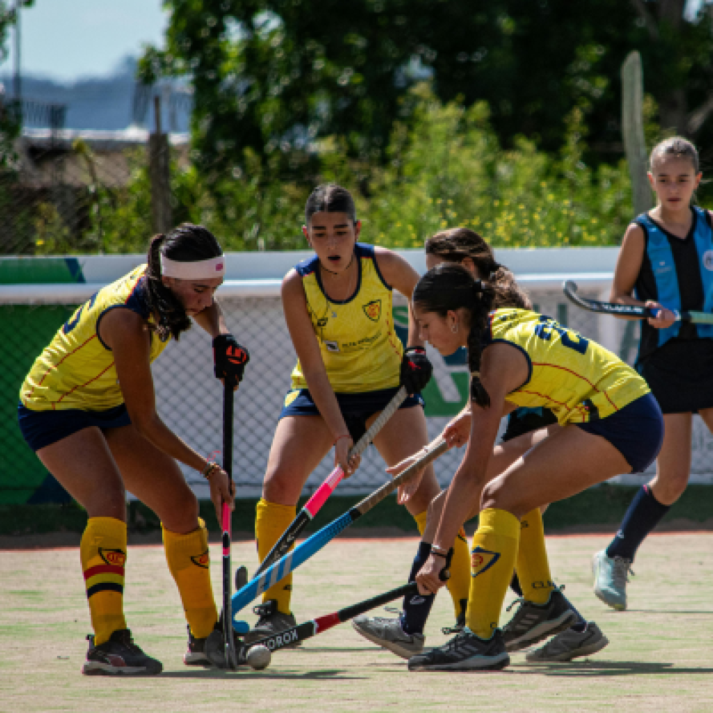 Field hockey players getting possession of ball.