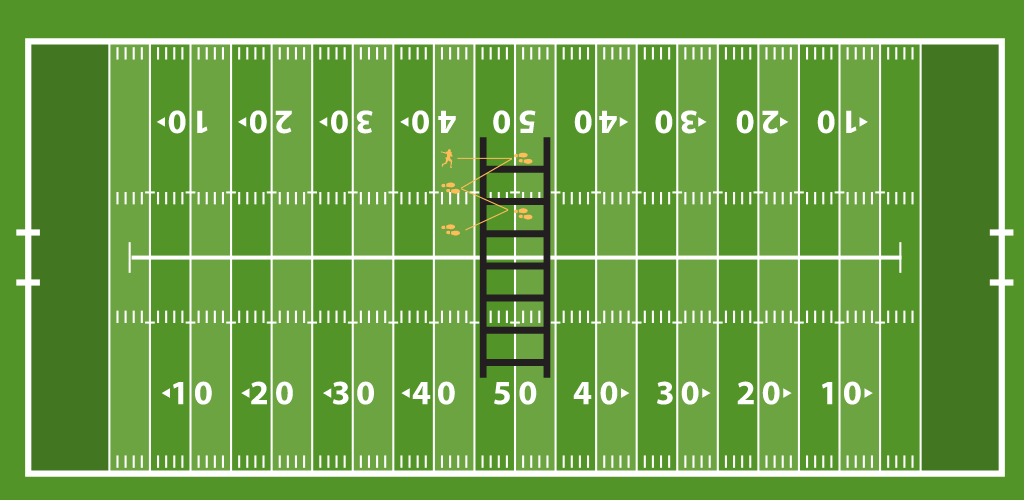 In & out ladder drill football.