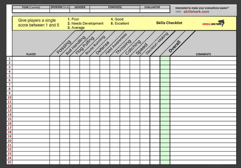Flag football evaluation form.